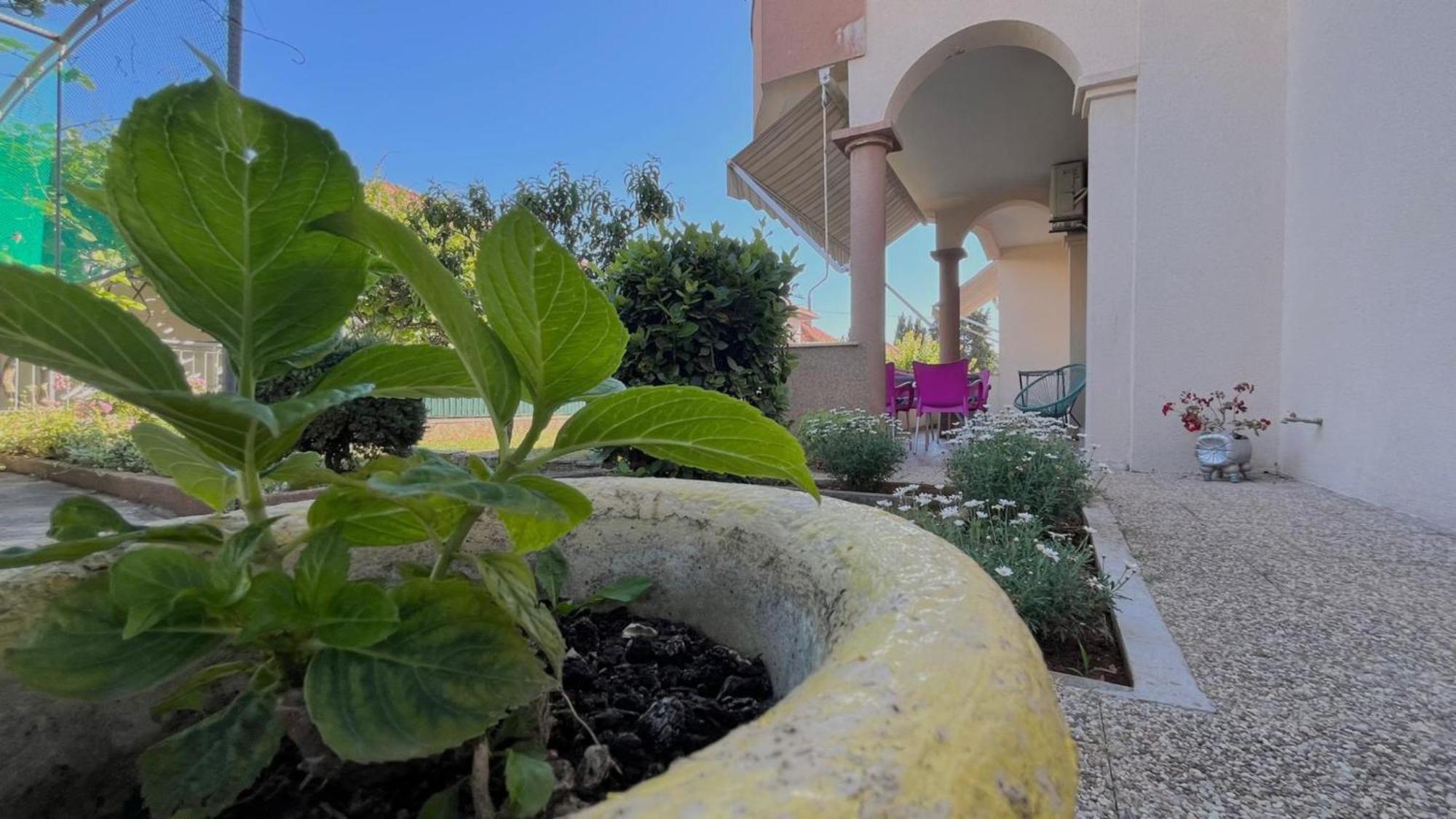 Apartments Villa Rotim Zadar Dış mekan fotoğraf