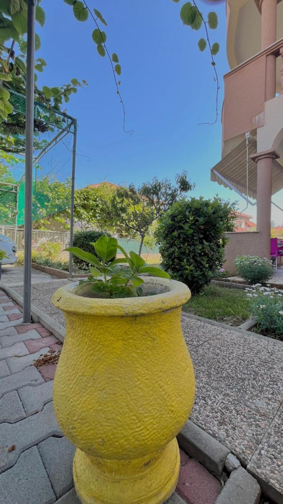 Apartments Villa Rotim Zadar Dış mekan fotoğraf