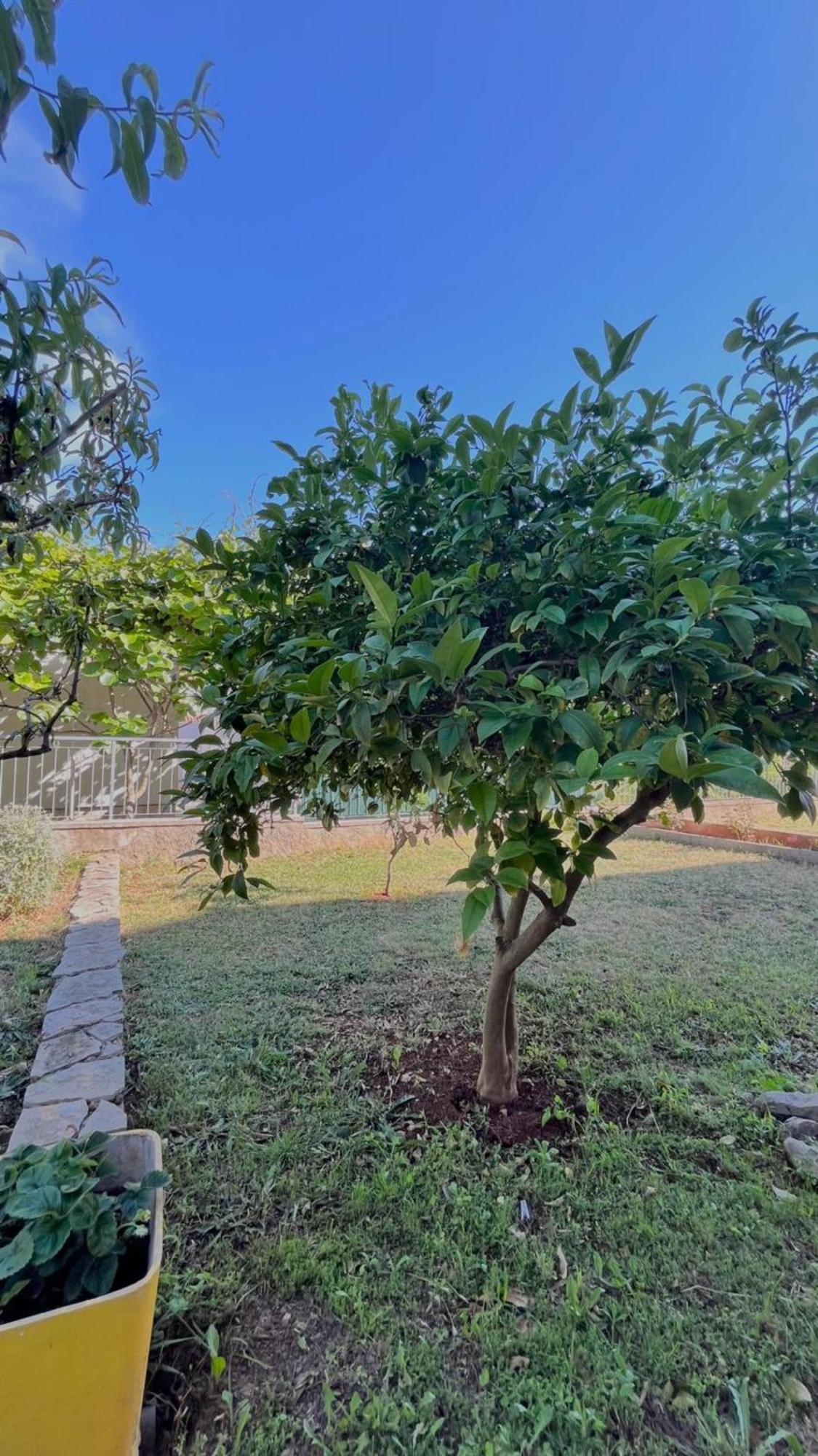 Apartments Villa Rotim Zadar Dış mekan fotoğraf
